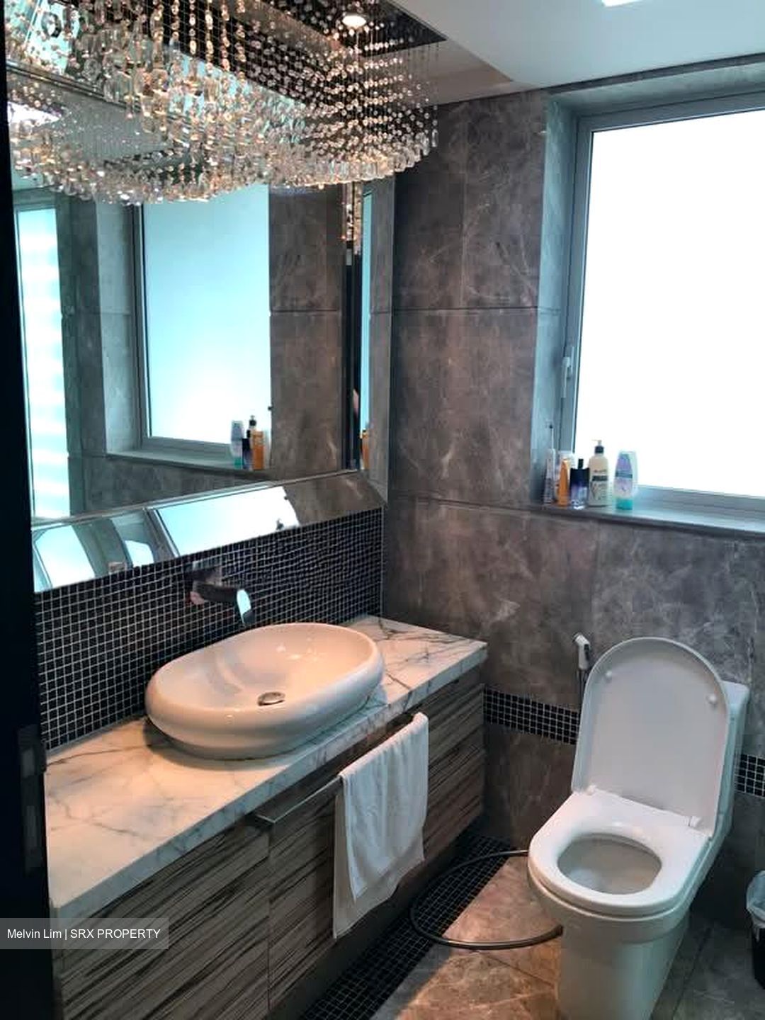The Vision (D5), Condominium #571111491